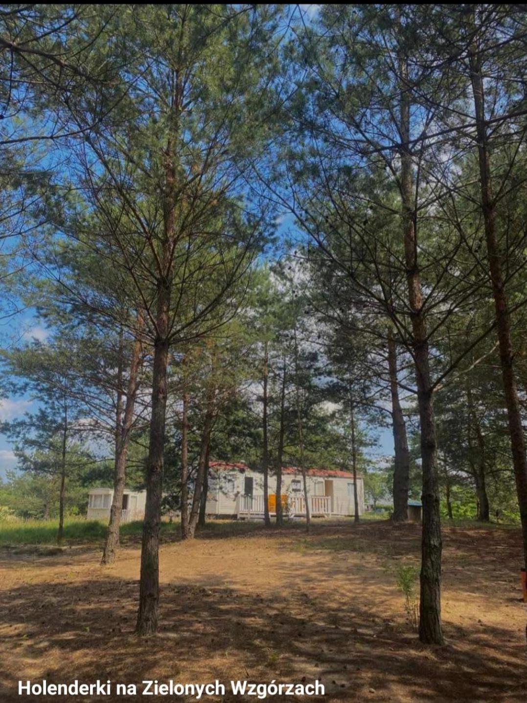 Holenderki Na Zielonych Wzgorzach, Lowyn Exterior foto